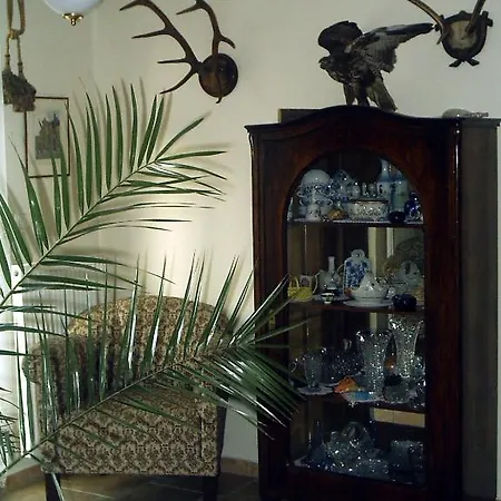 Casa de hóspedes Olivia 3*